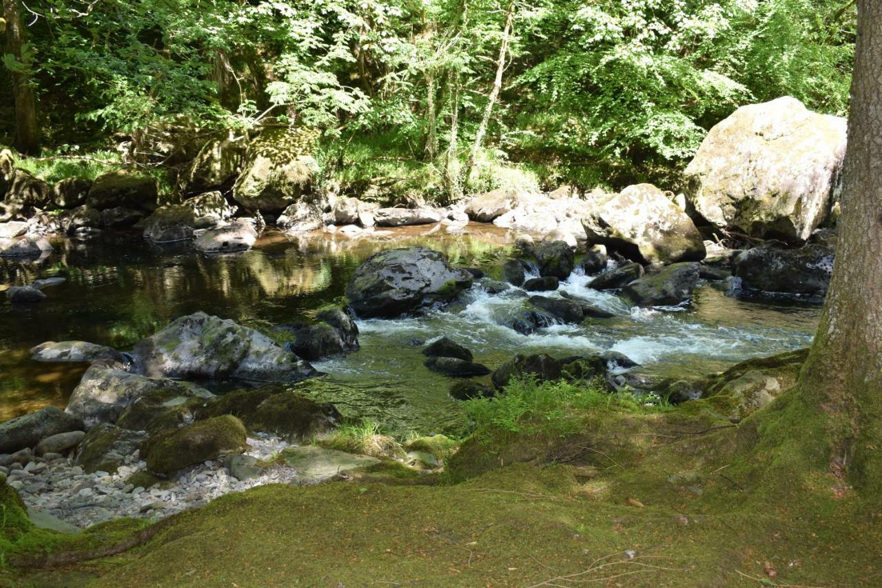 Cedar Lodge Λαντούντνο Εξωτερικό φωτογραφία